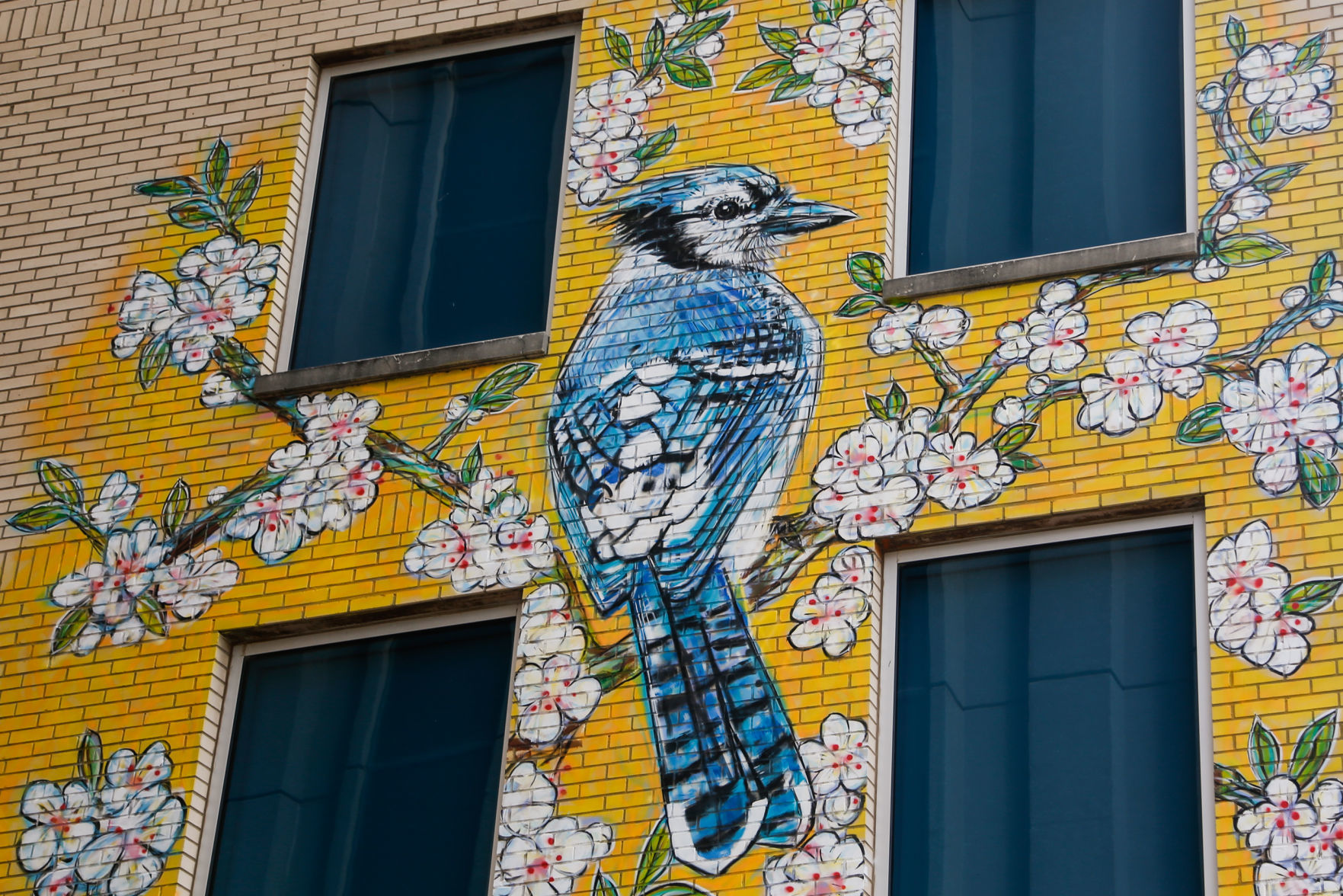 Murals